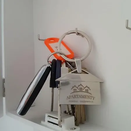 Apartment Homole A6 Szczawnica